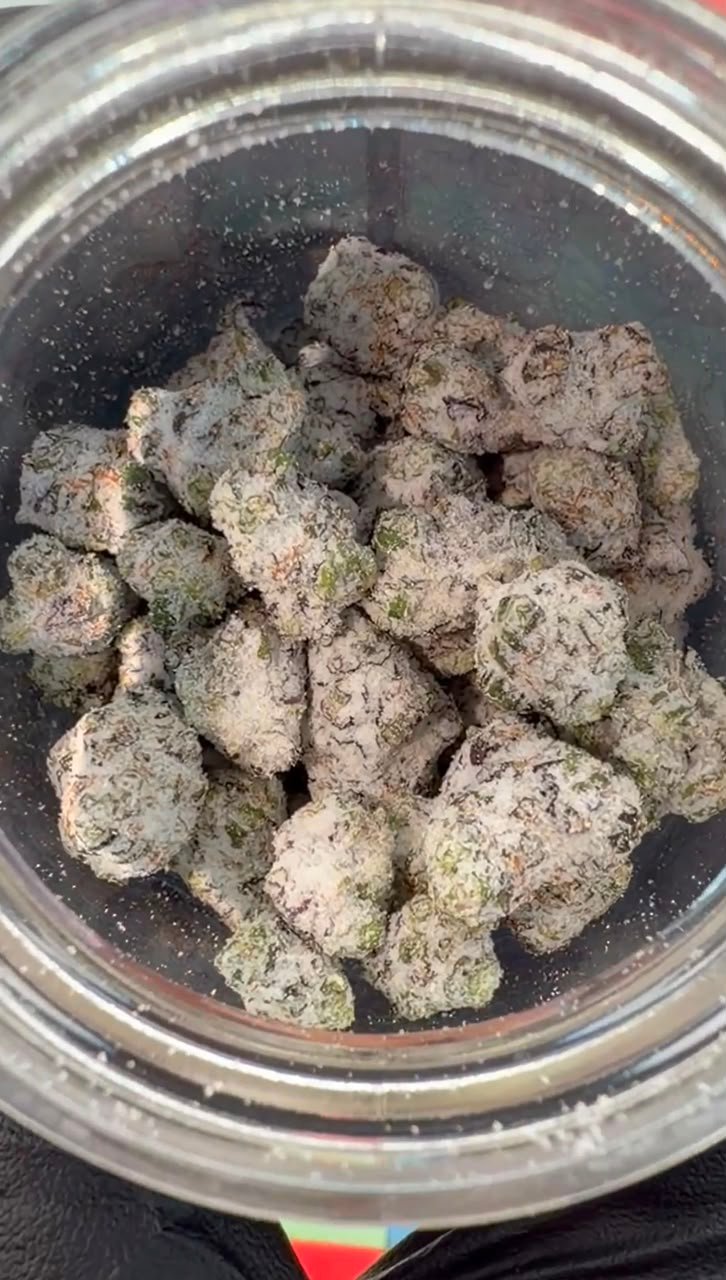 zetti snowcaps